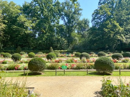 English garden