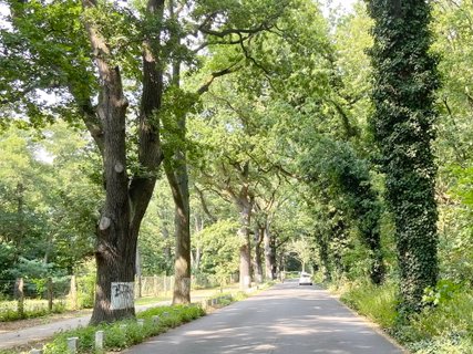 Havelchaussee Havelchaussee