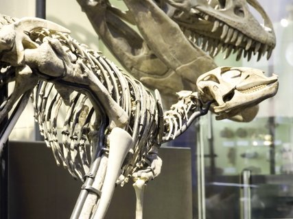 Museum of Natural History